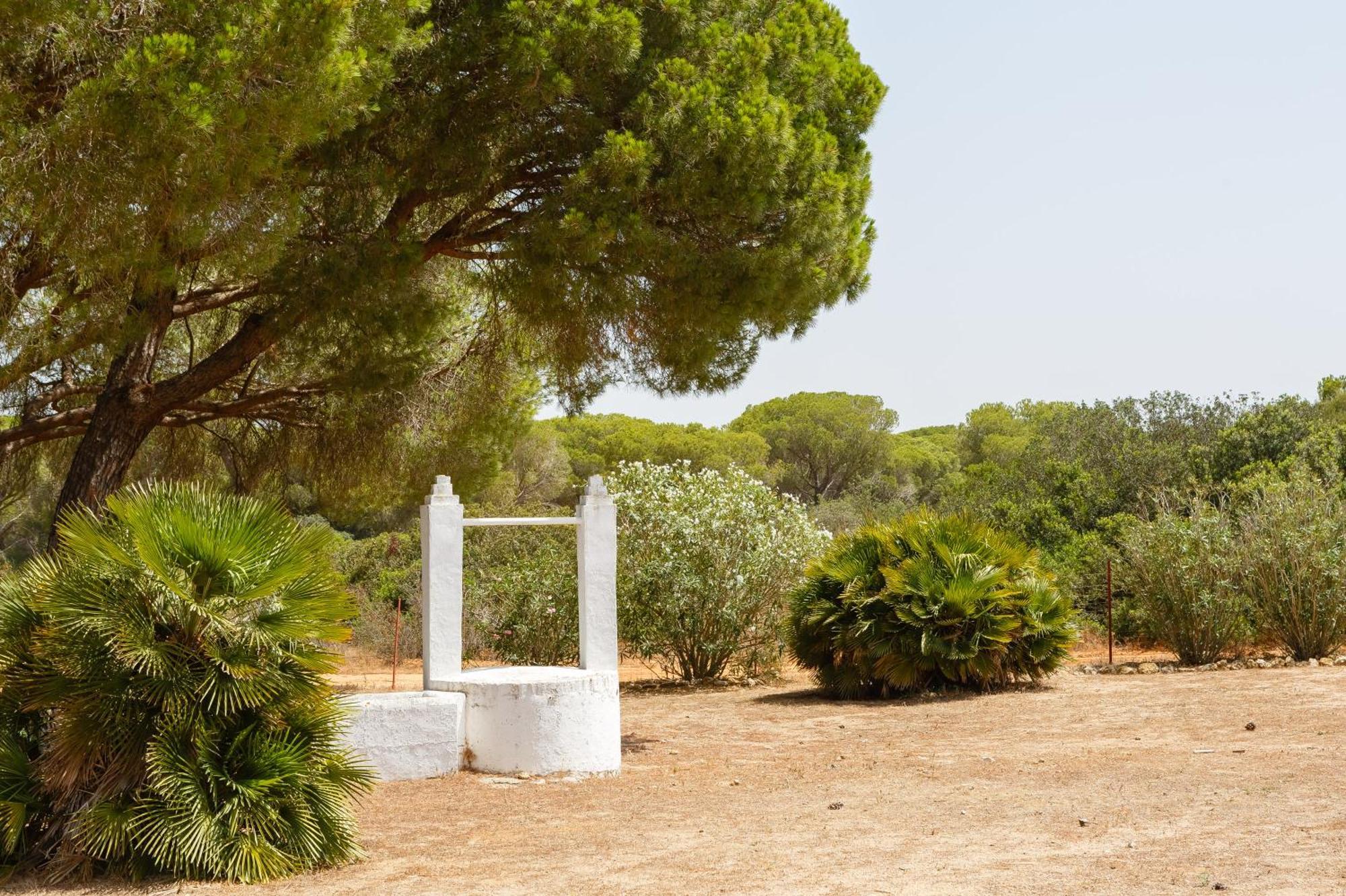 Casa Dehesa De Las Yeguas كاديز المظهر الخارجي الصورة